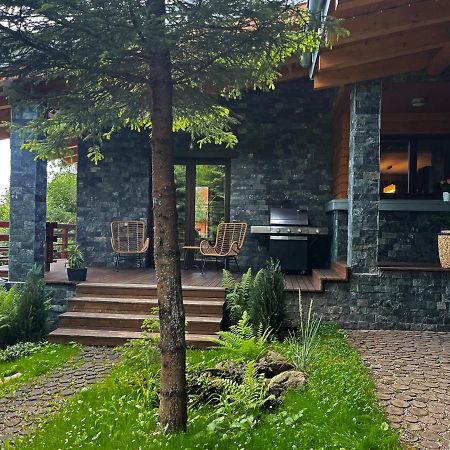 Bazalt Wellness Villa Harghita Băi Exterior foto