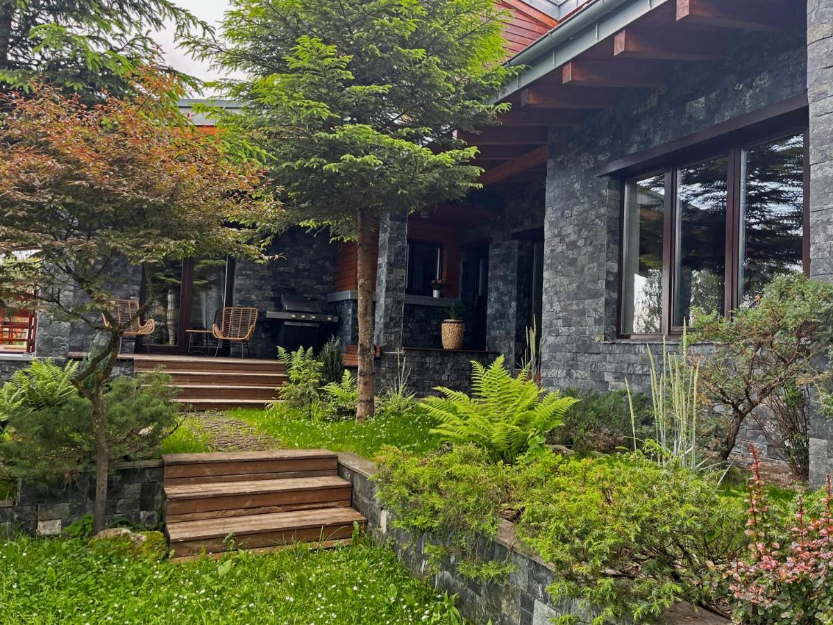 Bazalt Wellness Villa Harghita Băi Exterior foto