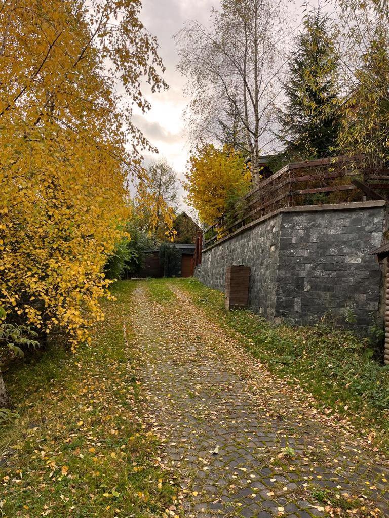 Bazalt Wellness Villa Harghita Băi Exterior foto